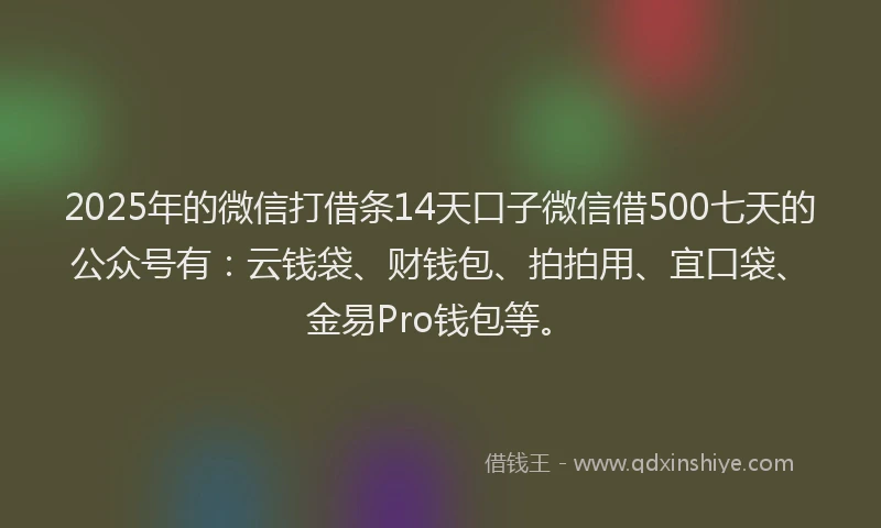 2025年的微信打借条14天口子微信借500七天的公众号有：云钱袋、财钱包、拍拍用、宜口袋、金易Pro钱包等。