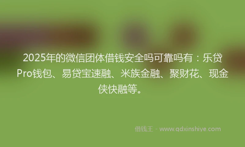 2025年的微信团体借钱安全吗可靠吗有：乐贷Pro钱包、易贷宝速融、米族金融、聚财花、现金侠快融等。