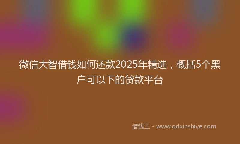微信大智借钱如何还款2025年精选，概括5个黑户可以下的贷款平台