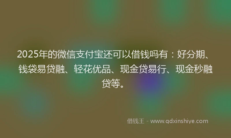 2025年的微信支付宝还可以借钱吗有：好分期、钱袋易贷融、轻花优品、现金贷易行、现金秒融贷等。