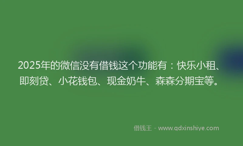 2025年的微信没有借钱这个功能有：快乐小租、即刻贷、小花钱包、现金奶牛、森森分期宝等。