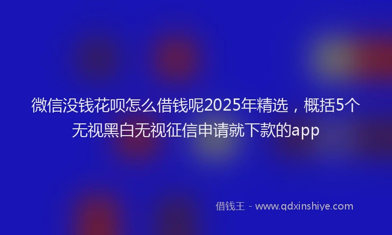 微信没钱花呗怎么借钱呢2025年精选，概括5个无视黑白无视征信申请就下款的app