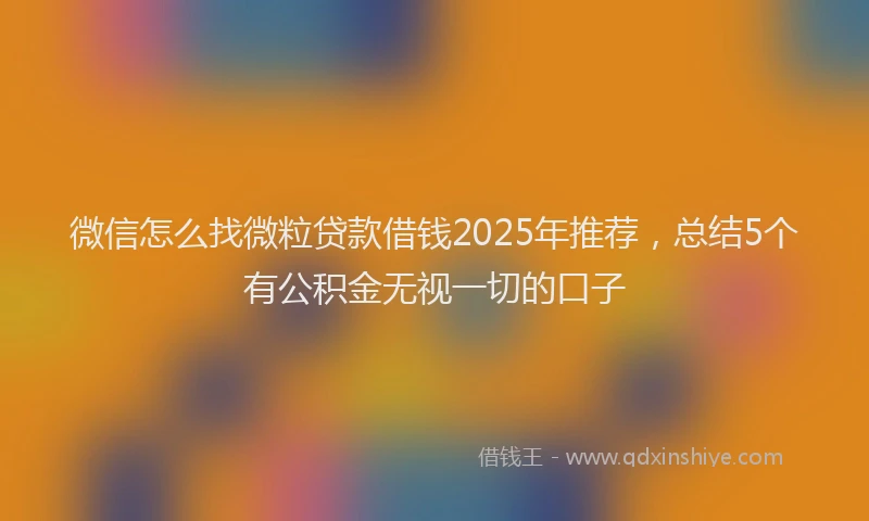 微信怎么找微粒贷款借钱2025年推荐，总结5个有公积金无视一切的口子