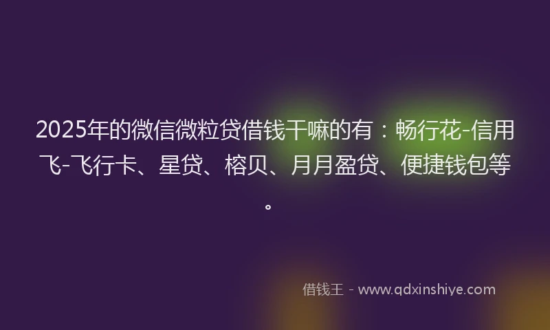 2025年的微信微粒贷借钱干嘛的有：畅行花-信用飞-飞行卡、星贷、榕贝、月月盈贷、便捷钱包等。
