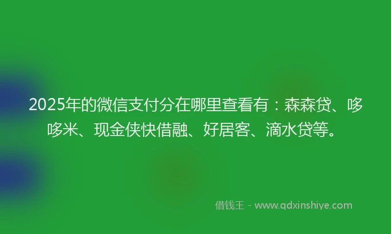 2025年的微信支付分在哪里查看有：森森贷、哆哆米、现金侠快借融、好居客、滴水贷等。