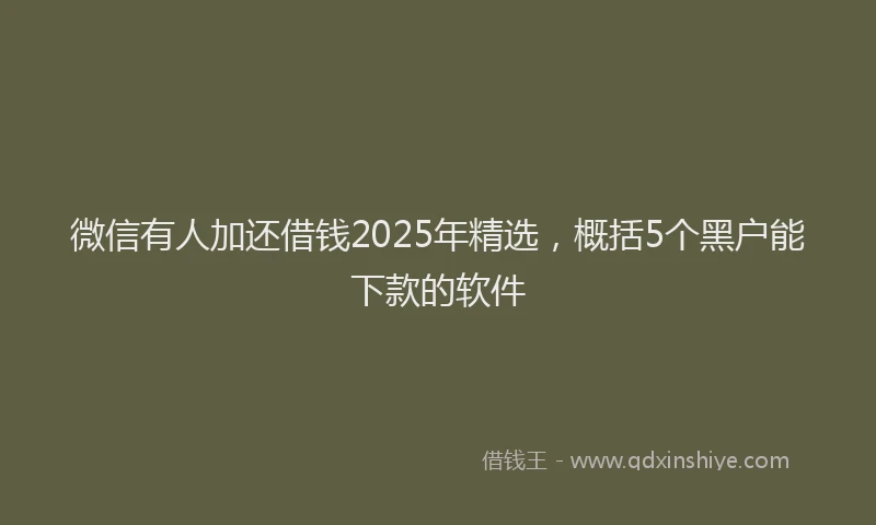 微信有人加还借钱2025年精选，概括5个黑户能下款的软件