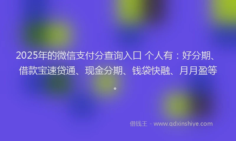 2025年的微信支付分查询入口 个人有：好分期、借款宝速贷通、现金分期、钱袋快融、月月盈等。