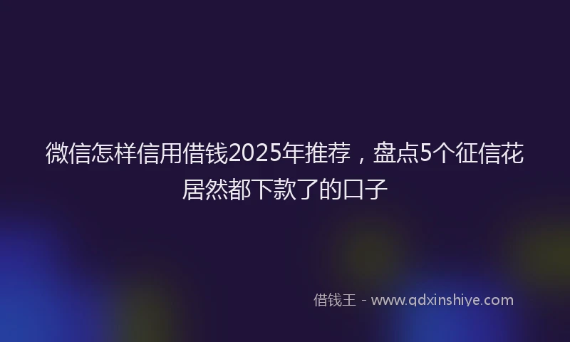 微信怎样信用借钱2025年推荐，盘点5个征信花居然都下款了的口子
