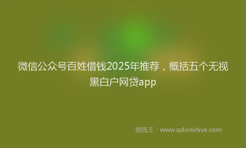 微信公众号百姓借钱2025年推荐，概括五个无视黑白户网贷app