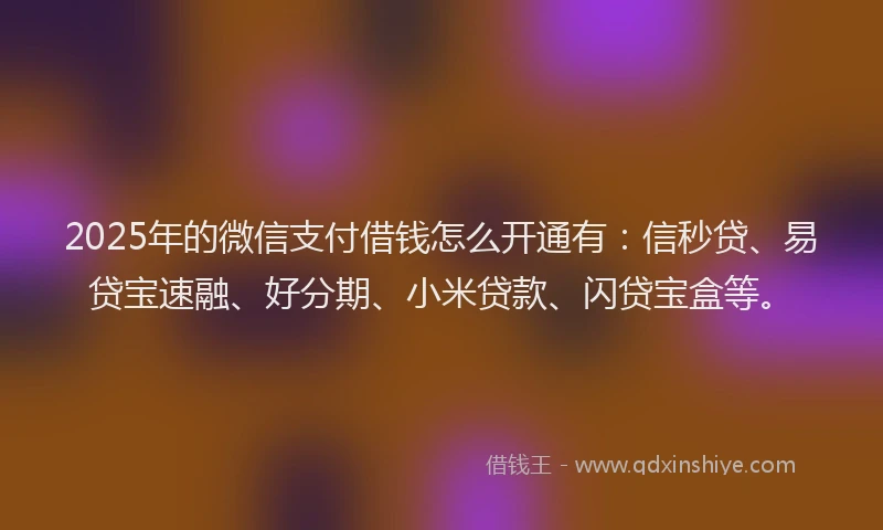 2025年的微信支付借钱怎么开通有：信秒贷、易贷宝速融、好分期、小米贷款、闪贷宝盒等。