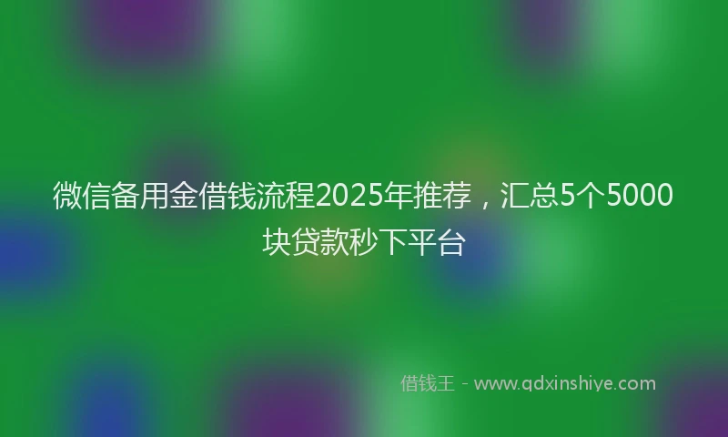 微信备用金借钱流程2025年推荐，汇总5个5000块贷款秒下平台