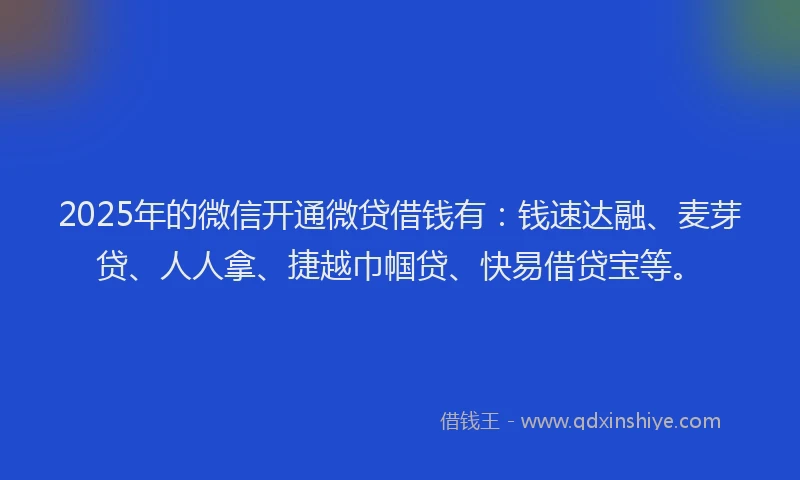 2025年的微信开通微贷借钱有：钱速达融、麦芽贷、人人拿、捷越巾帼贷、快易借贷宝等。