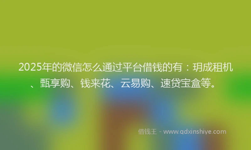 2025年的微信怎么通过平台借钱的有：玥成租机、甄享购、钱来花、云易购、速贷宝盒等。