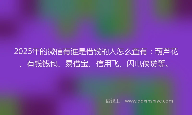 2025年的微信有谁是借钱的人怎么查有：葫芦花、有钱钱包、易借宝、信用飞、闪电侠贷等。