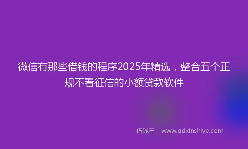 微信有那些借钱的程序2025年精选，整合五个正规不看征信的小额贷款软件