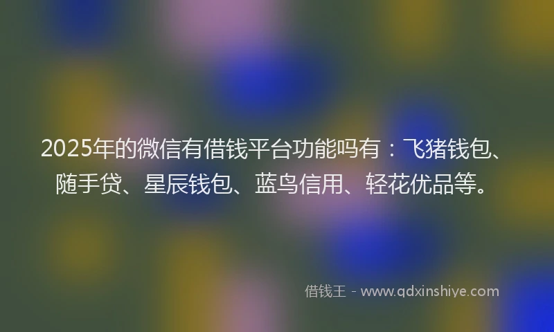 2025年的微信有借钱平台功能吗有：飞猪钱包、随手贷、星辰钱包、蓝鸟信用、轻花优品等。