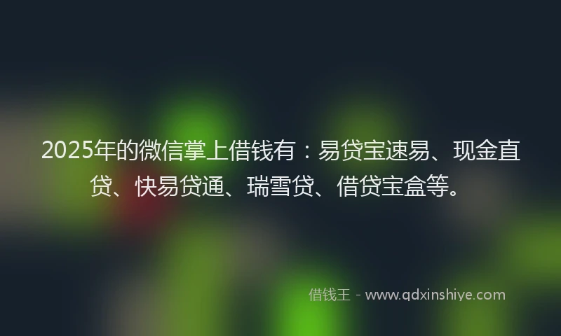 2025年的微信掌上借钱有：易贷宝速易、现金直贷、快易贷通、瑞雪贷、借贷宝盒等。