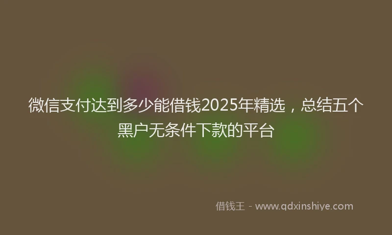 微信支付达到多少能借钱2025年精选，总结五个黑户无条件下款的平台