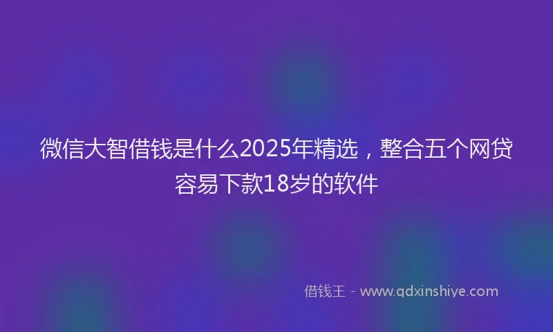 微信大智借钱是什么2025年精选，整合五个网贷容易下款18岁的软件