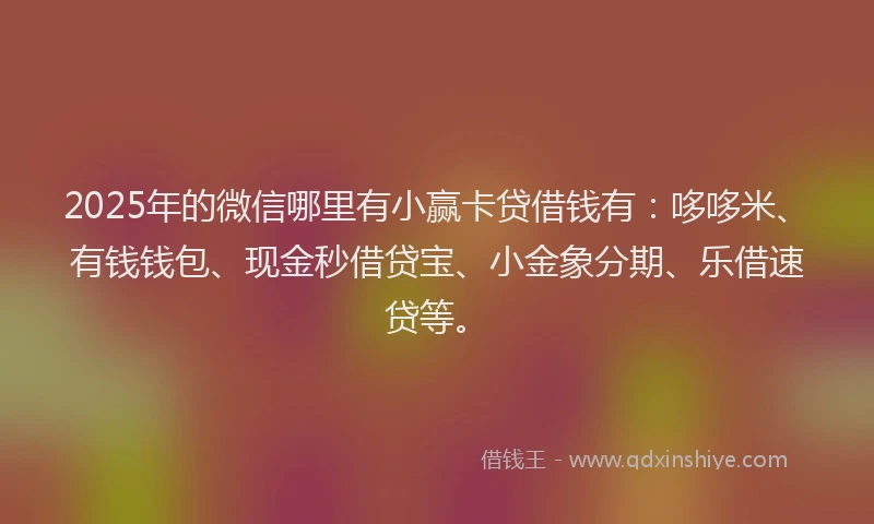 2025年的微信哪里有小赢卡贷借钱有：哆哆米、有钱钱包、现金秒借贷宝、小金象分期、乐借速贷等。