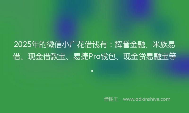 2025年的微信小广花借钱有：辉誉金融、米族易借、现金借款宝、易捷Pro钱包、现金贷易融宝等。