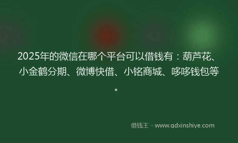 2025年的微信在哪个平台可以借钱有：葫芦花、小金鹤分期、微博快借、小铭商城、哆哆钱包等。