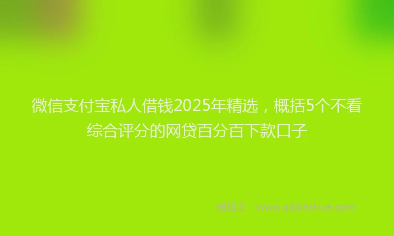 微信支付宝私人借钱2025年精选，概括5个不看综合评分的网贷百分百下款口子