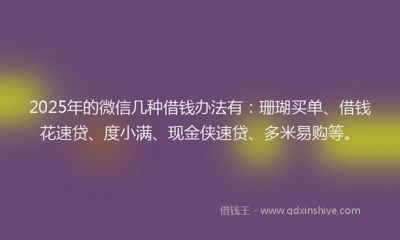 2025年的微信几种借钱办法有：珊瑚买单、借钱花速贷、度小满、现金侠速贷、多米易购等。