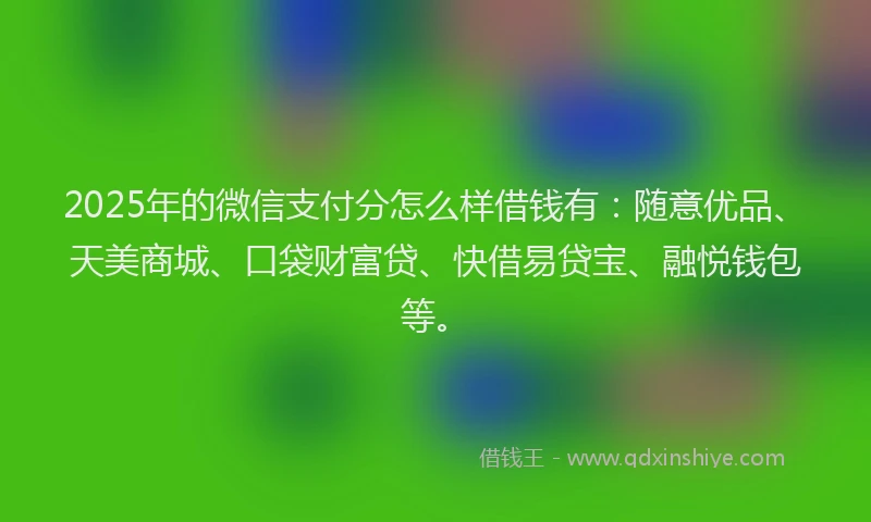 2025年的微信支付分怎么样借钱有：随意优品、天美商城、口袋财富贷、快借易贷宝、融悦钱包等。