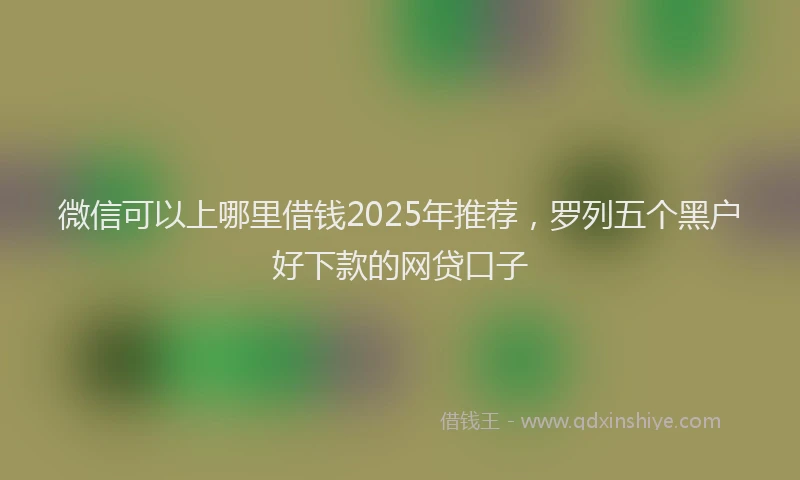 微信可以上哪里借钱2025年推荐，罗列五个黑户好下款的网贷口子