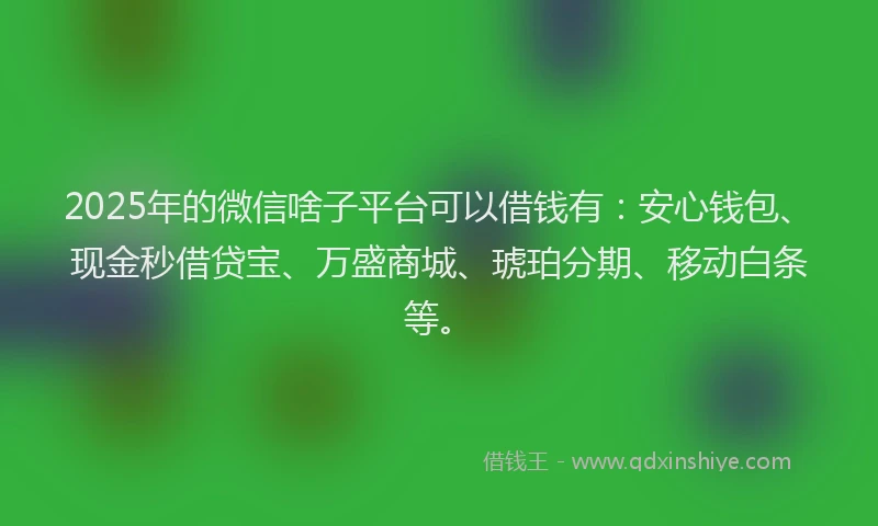 2025年的微信啥子平台可以借钱有：安心钱包、现金秒借贷宝、万盛商城、琥珀分期、移动白条等。