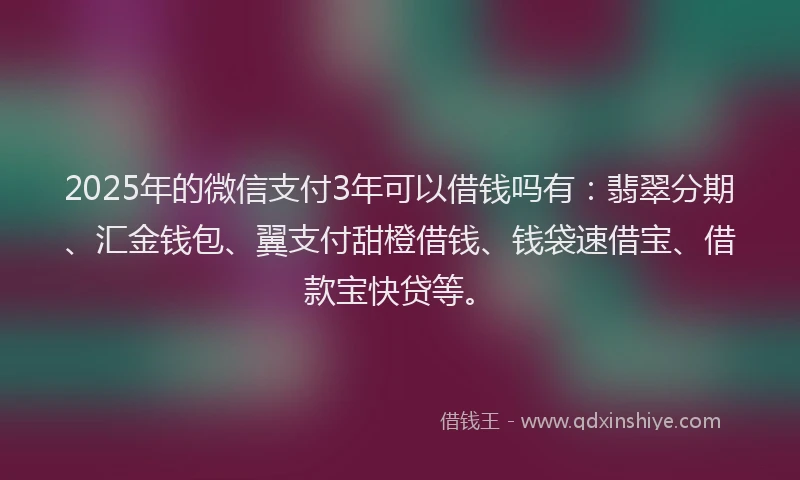 2025年的微信支付3年可以借钱吗有：翡翠分期、汇金钱包、翼支付甜橙借钱、钱袋速借宝、借款宝快贷等。