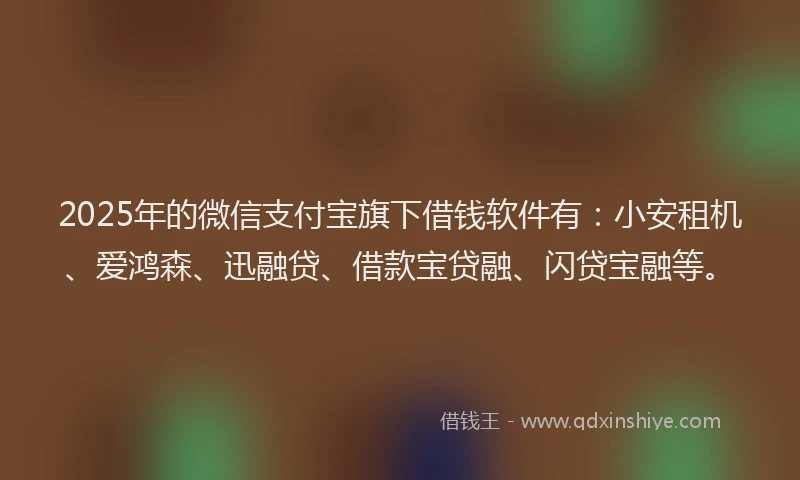 2025年的微信支付宝旗下借钱软件有：小安租机、爱鸿森、迅融贷、借款宝贷融、闪贷宝融等。