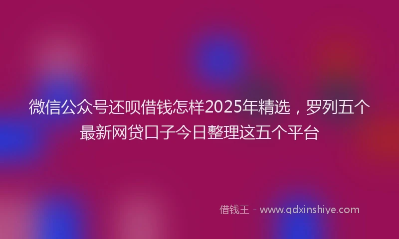 微信公众号还呗借钱怎样2025年精选，罗列五个最新网贷口子今日整理这五个平台