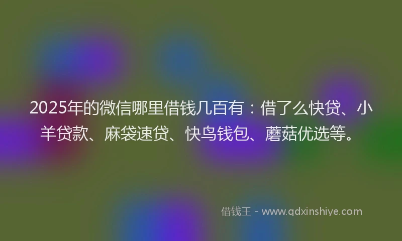2025年的微信哪里借钱几百有：借了么快贷、小羊贷款、麻袋速贷、快鸟钱包、蘑菇优选等。