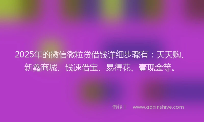 2025年的微信微粒贷借钱详细步骤有：天天购、新鑫商城、钱速借宝、易得花、壹现金等。