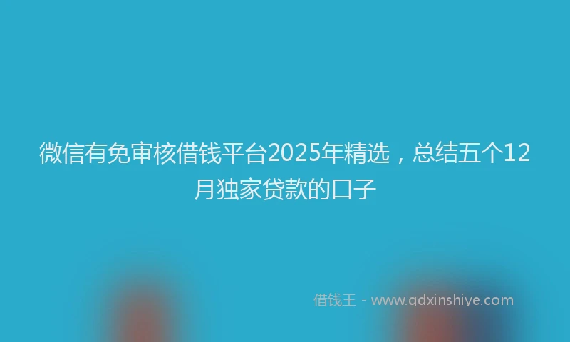 微信有免审核借钱平台2025年精选，总结五个12月独家贷款的口子
