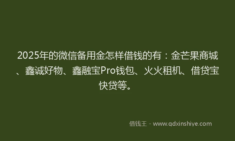 2025年的微信备用金怎样借钱的有：金芒果商城、鑫诚好物、鑫融宝Pro钱包、火火租机、借贷宝快贷等。