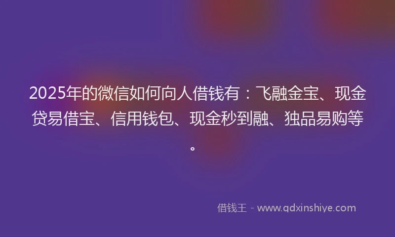 2025年的微信如何向人借钱有：飞融金宝、现金贷易借宝、信用钱包、现金秒到融、独品易购等。