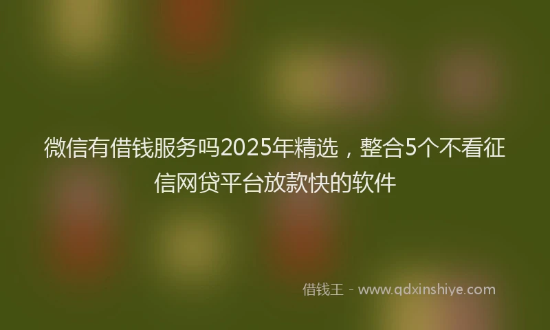 微信有借钱服务吗2025年精选，整合5个不看征信网贷平台放款快的软件