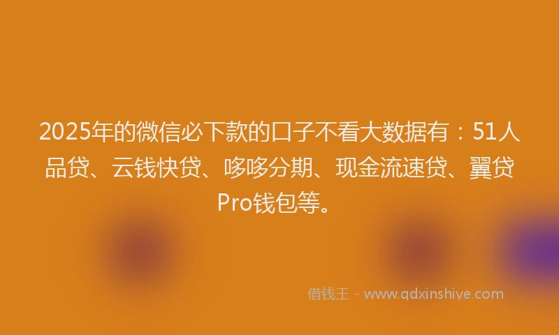 2025年的微信必下款的口子不看大数据有：51人品贷、云钱快贷、哆哆分期、现金流速贷、翼贷Pro钱包等。