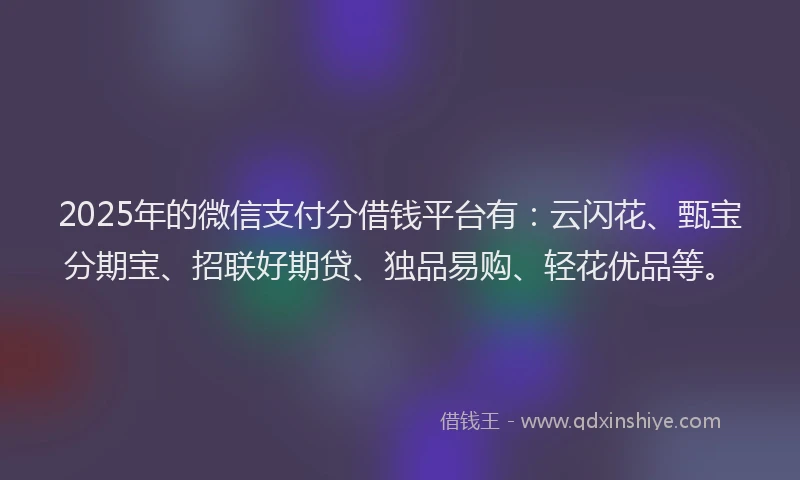 2025年的微信支付分借钱平台有：云闪花、甄宝分期宝、招联好期贷、独品易购、轻花优品等。