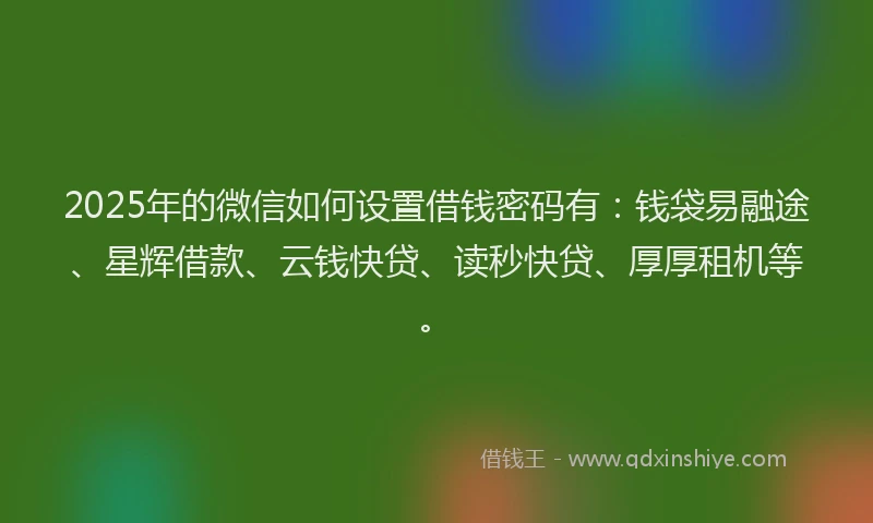 2025年的微信如何设置借钱密码有：钱袋易融途、星辉借款、云钱快贷、读秒快贷、厚厚租机等。