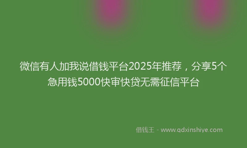 微信有人加我说借钱平台2025年推荐，分享5个急用钱5000快审快贷无需征信平台