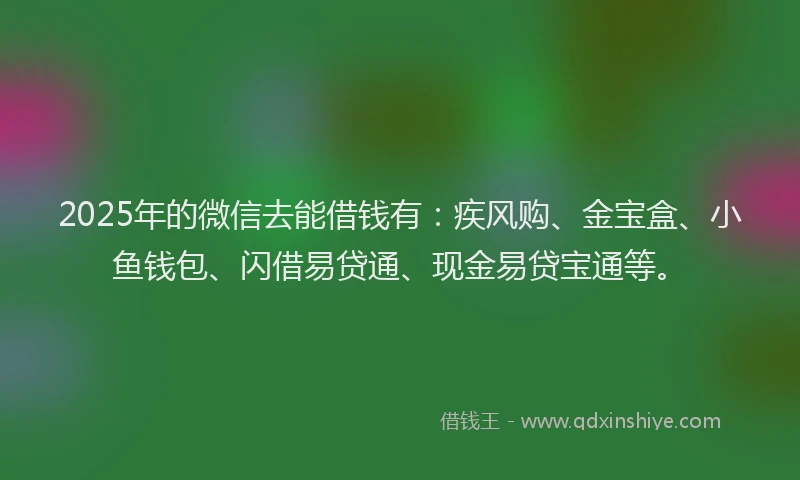 2025年的微信去能借钱有：疾风购、金宝盒、小鱼钱包、闪借易贷通、现金易贷宝通等。