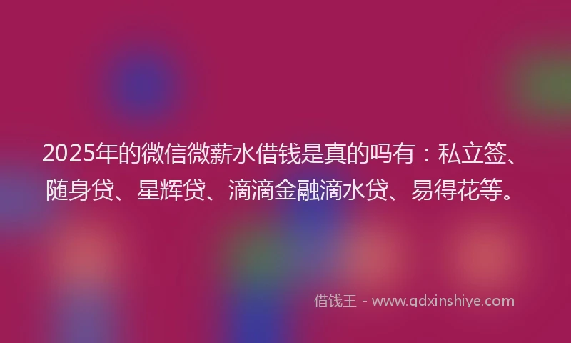 2025年的微信微薪水借钱是真的吗有：私立签、随身贷、星辉贷、滴滴金融滴水贷、易得花等。