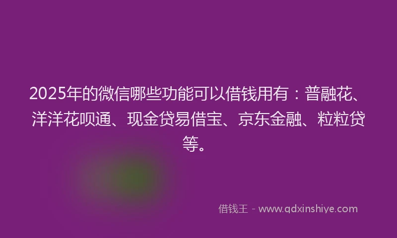 2025年的微信哪些功能可以借钱用有：普融花、洋洋花呗通、现金贷易借宝、京东金融、粒粒贷等。