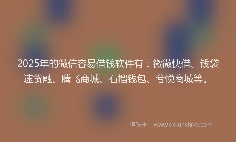 2025年的微信容易借钱软件有：微微快借、钱袋速贷融、腾飞商城、石榴钱包、兮悦商城等。