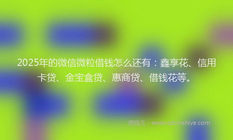 2025年的微信微粒借钱怎么还有：鑫享花、信用卡贷、金宝盒贷、惠商贷、借钱花等。
