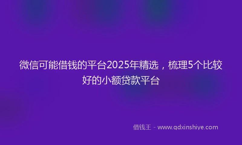 微信可能借钱的平台2025年精选，梳理5个比较好的小额贷款平台